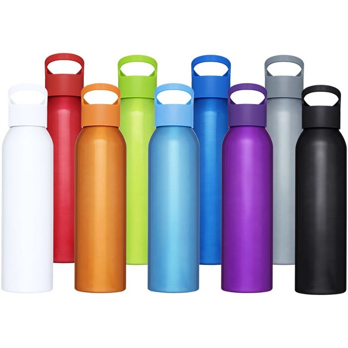 Sky 650 ml Water Bottle