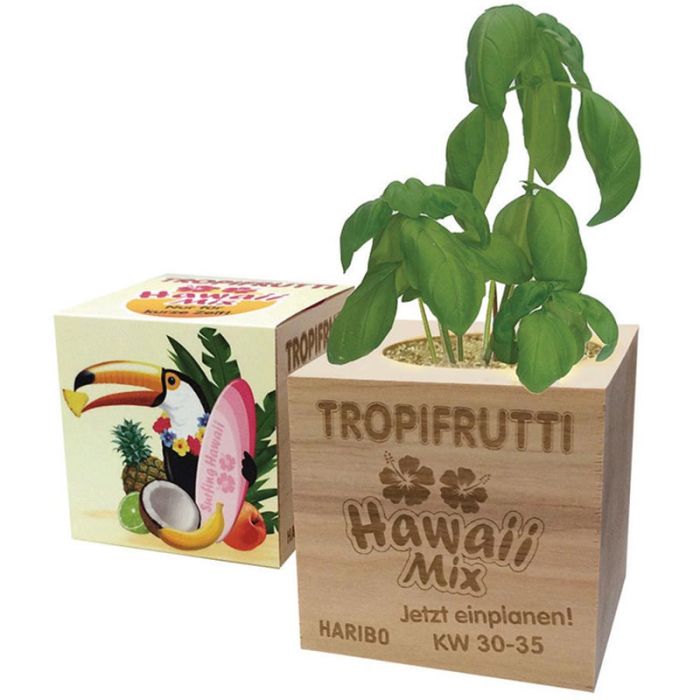 Eco Cubes main product photo