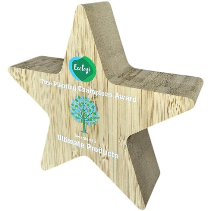 Bespoke Shape Bamboo Award main product photo