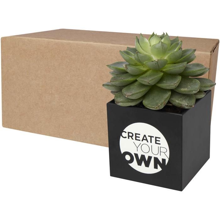 Hey Pots Aluminium Planted Pot - Cactus main product photo
