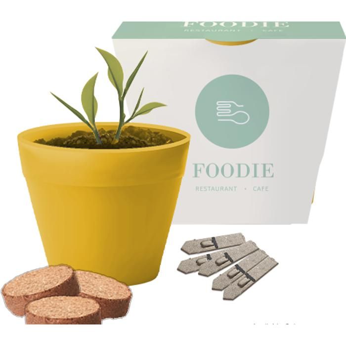 Bamboo Pot Gardens main product photo