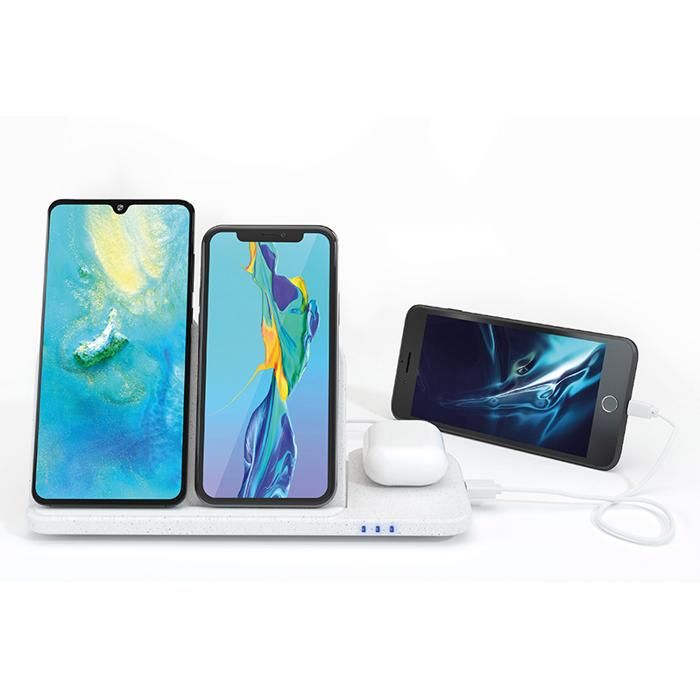 Mr Bio Wireless Charger main product photo