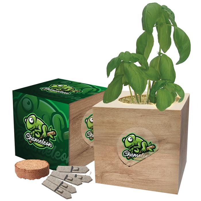 Eco Cube main product photo