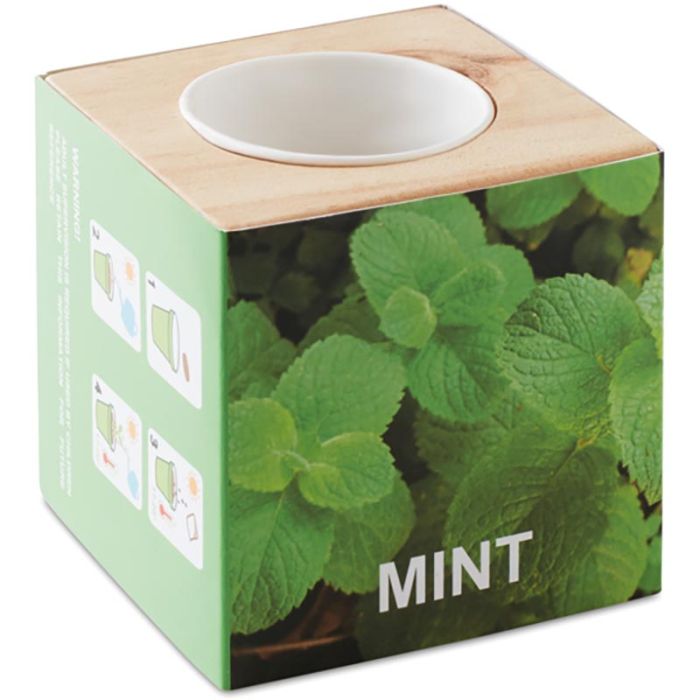 Menta Herb Pot Wood "Mint" main product photo