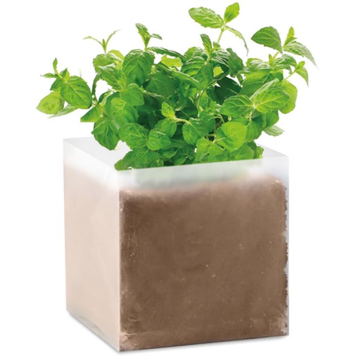 Promotional Mint Compost With Seeds "Mint" from Fluid Branding Seeds