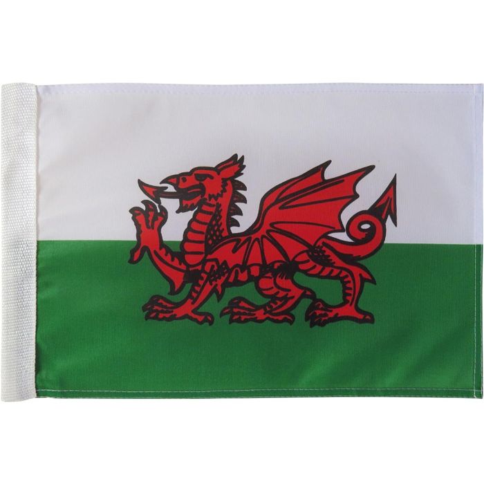 Pin Hole Flags main product photo