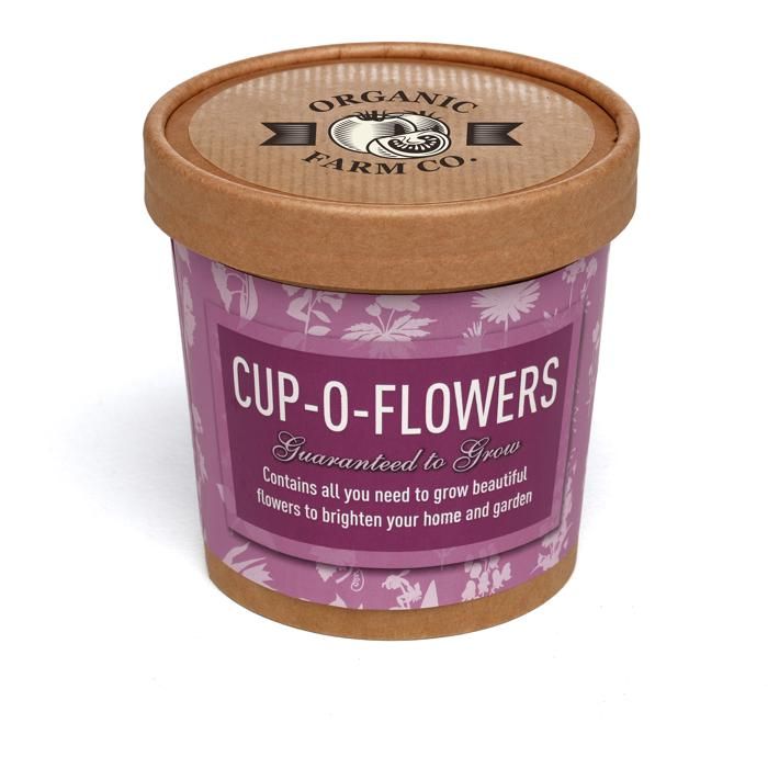 Promotional merchandise spring merchandise pack branded seed pot.