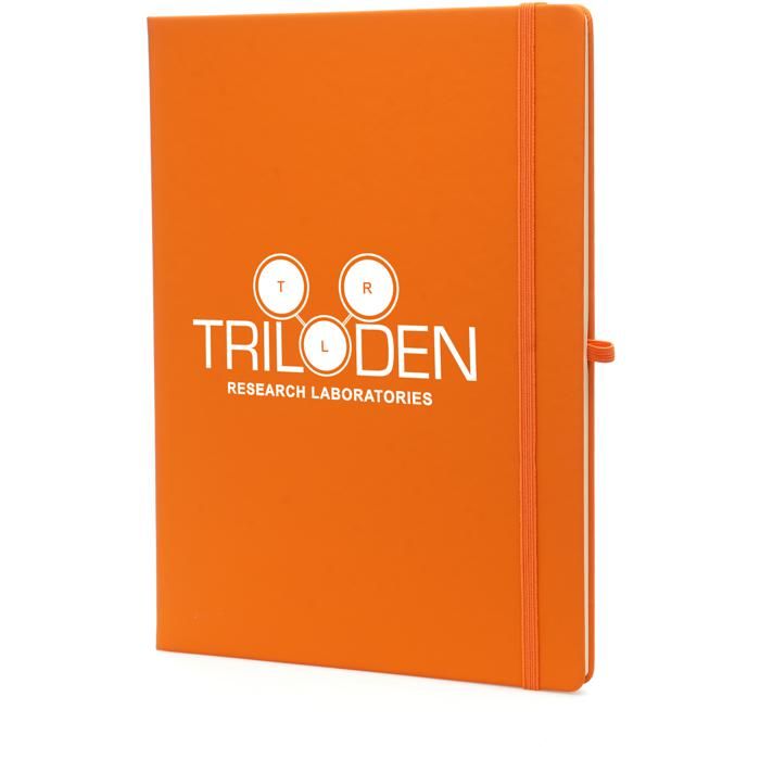 A4 Mole Notebook main product photo