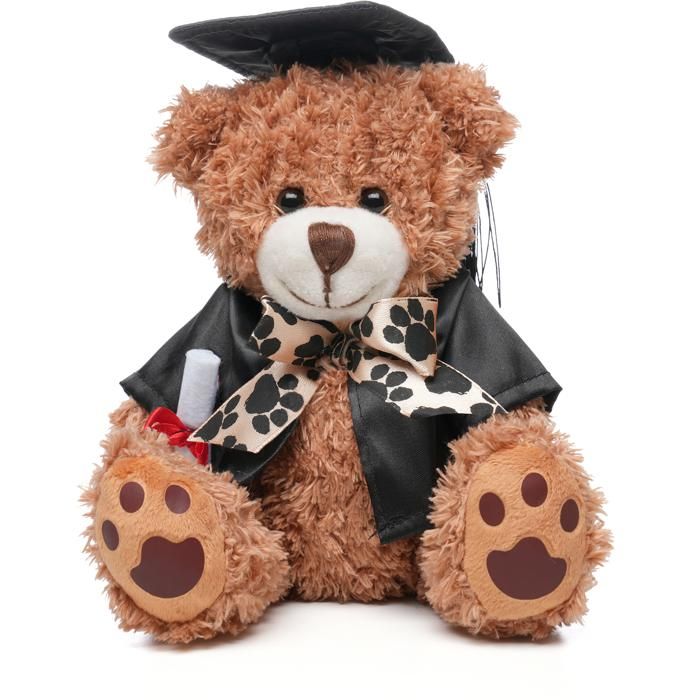Graduation Style Medium Patched Paw Teddy main product photo