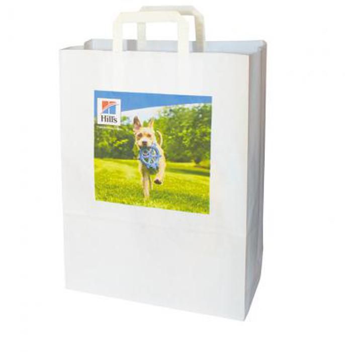 Flat Tape Handle Paper Bag-Digital Print main product photo