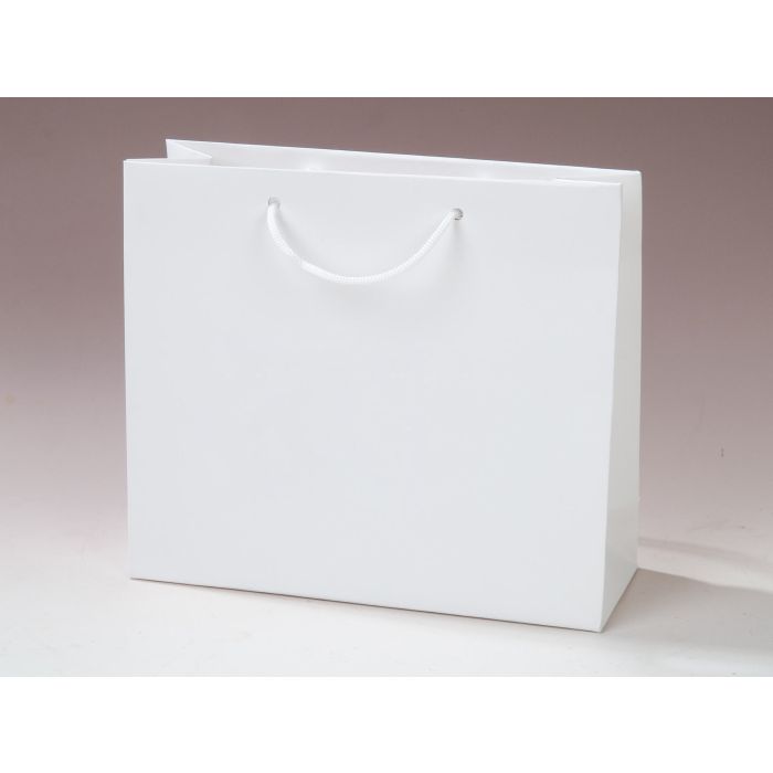 Twisted Paper Handle Carrier Bag  Branded  Printed Carrier Bags   Merchandise Branding