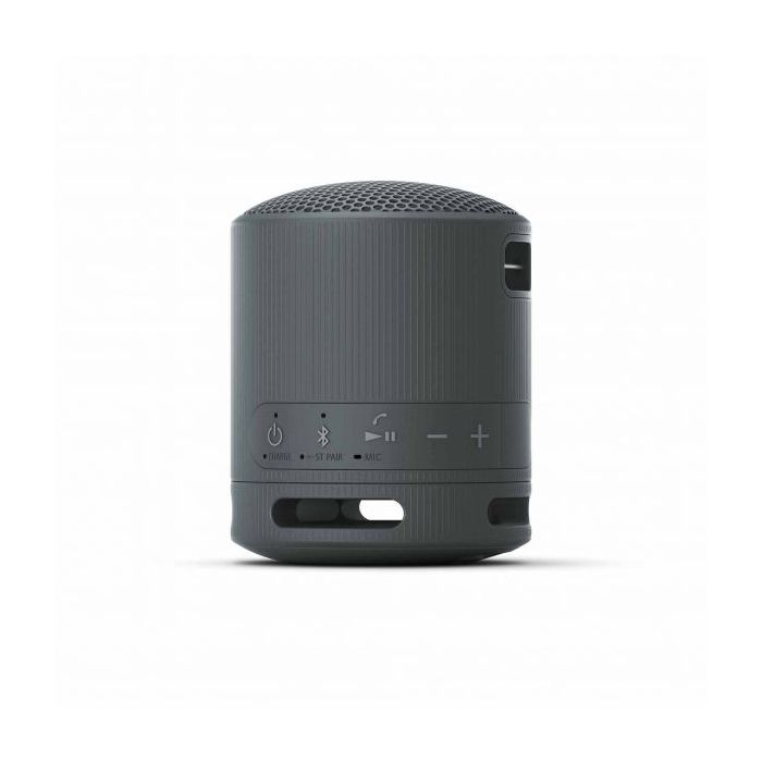 Sony Bluetooth Speaker Srs-Xb100