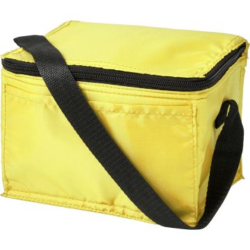 Polyester (210D) Rectangular Cooler Bag