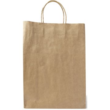 Paper Bag, Large