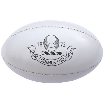 Mini Rugby Ball (PVC)
