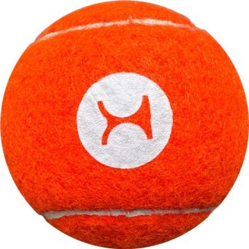 Dog Tennis Ball 1.jpg