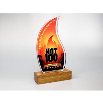 Freestanding Acrylic Award, Standard Shape With Engraved Real Wood Base - 125mm x 225mm