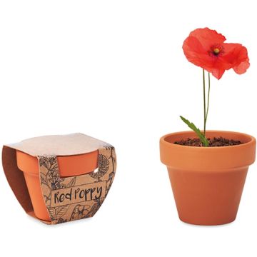 Red Poppy Terracotta Pot 'Poppy'