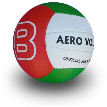 Professional Volley balls