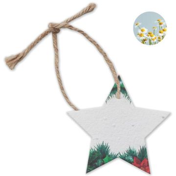 Starseed Seed Paper Xmas Ornament