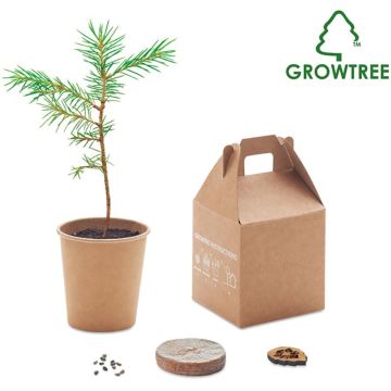 Pine Tree Set - Growtree Collection