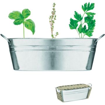 Mix Seeds Zinc Tub With 3 Herbs Seeds