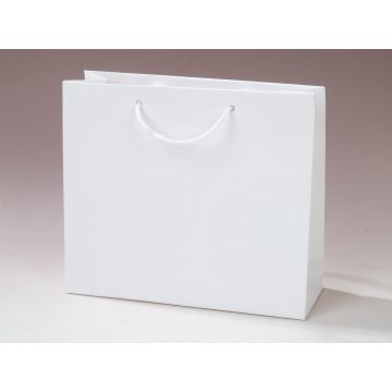 Laminated Paper Carrier Bag