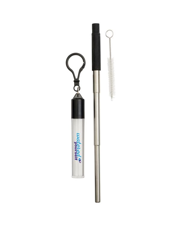 Zeya Reusable Stainless Steel Straw Keychain