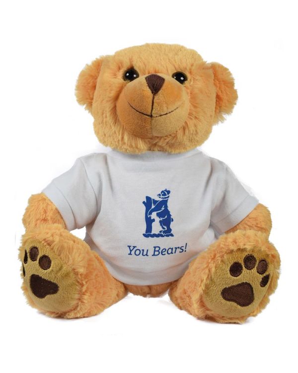 15Inch Dexter Bear With T Shirt
