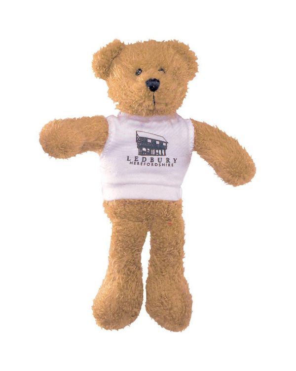 9Inch Scraggy Bear With T Shirt