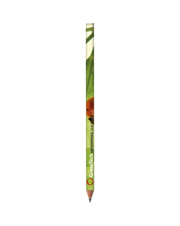 BIC Evolution Digital Ecolutions Pencil Cut