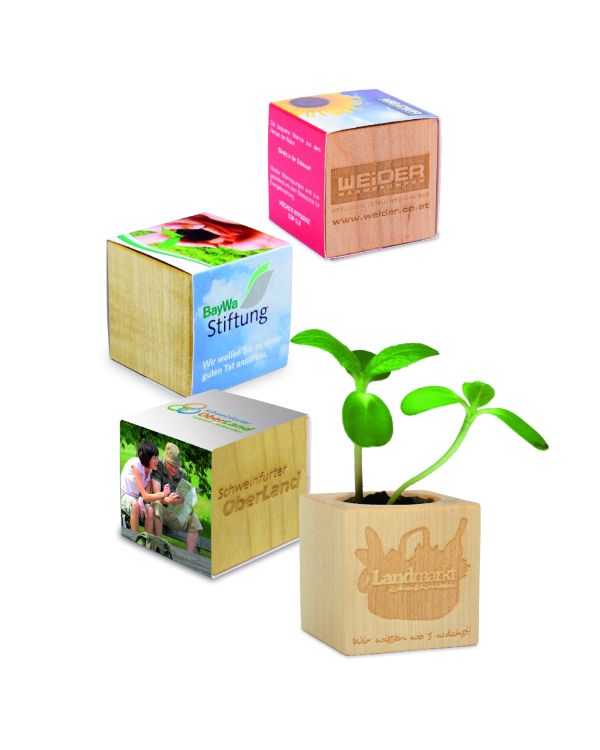 Plant Wood