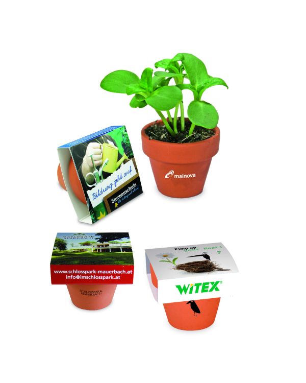 Mini Logo Pot