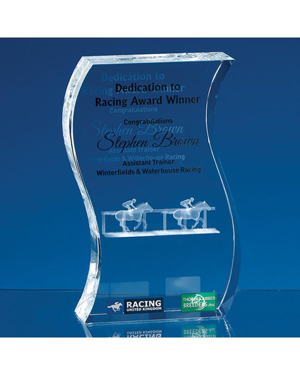 17.5cm Optical Crystal Freestanding Wave Award