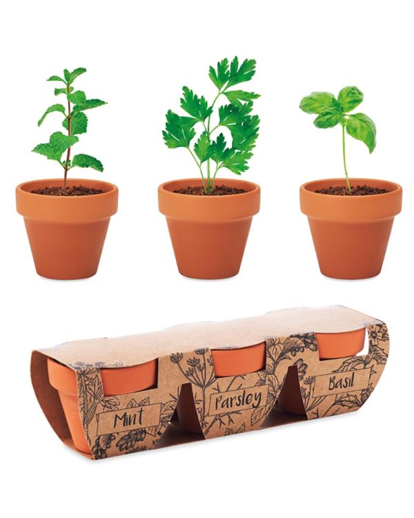 Flowerpot Terracotta 3 Herb Pot Set
