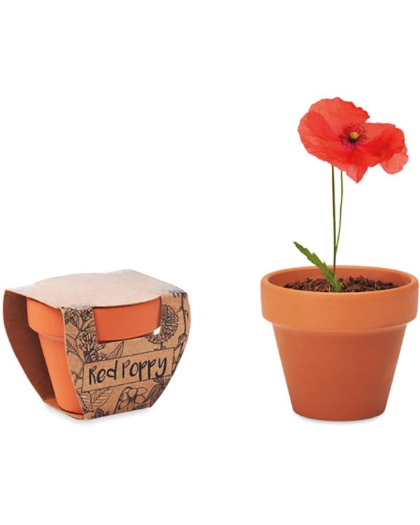 Red Poppy Terracotta Pot 'Poppy'
