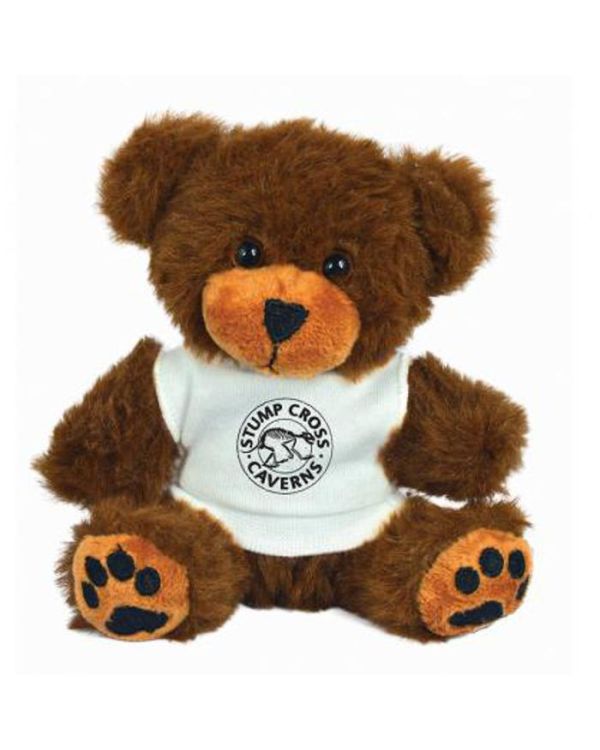 5 Inch George Bear With T Shirt