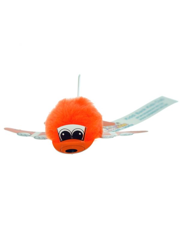 Plane Bug