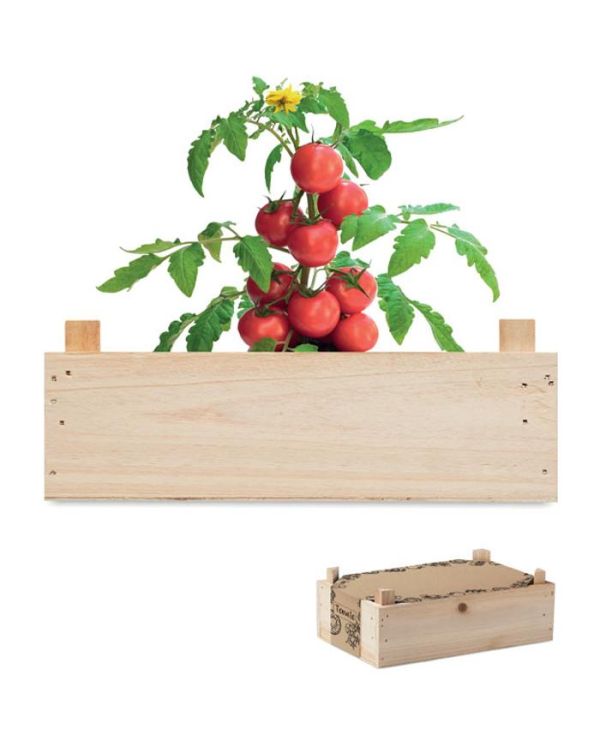 Tomato Tomato Kit In Wooden Crate