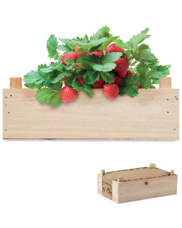 "Strawberry" Strawberry Kit In Wooden Crate