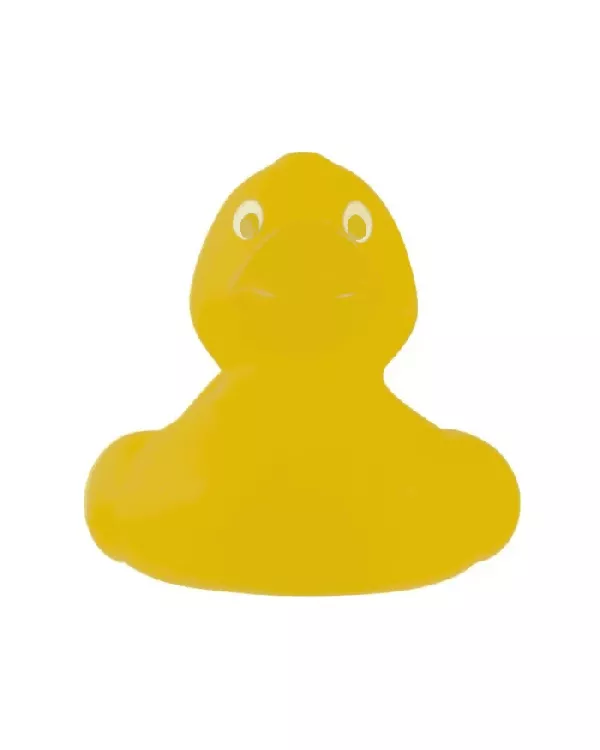 Duck PVC Duck